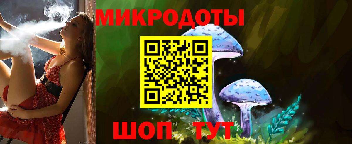 Псилоцибиновые грибы Psilocybine cubensis Сертолово